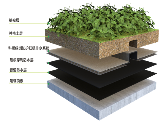 种植屋面